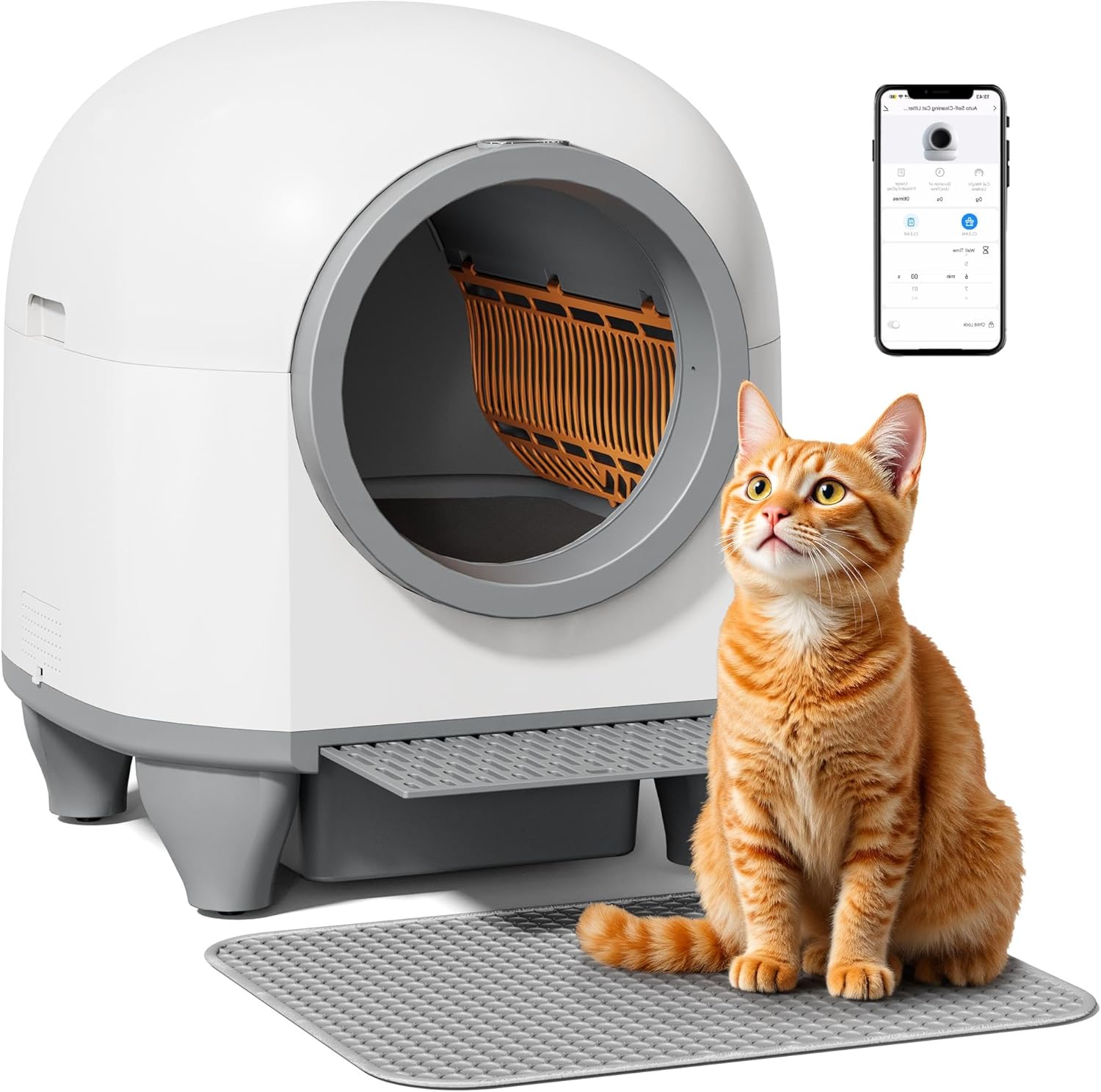 CatBox
