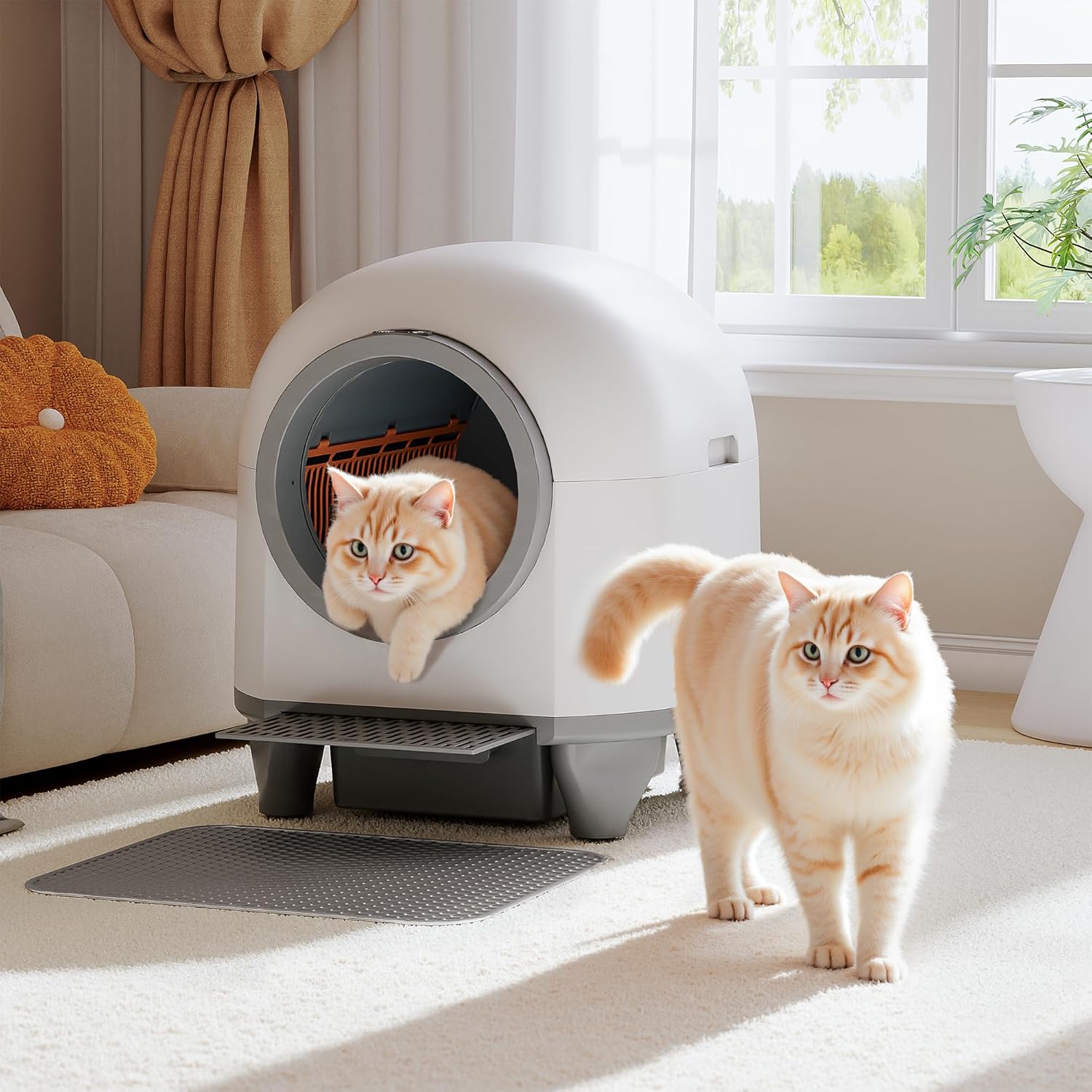 CatBox
