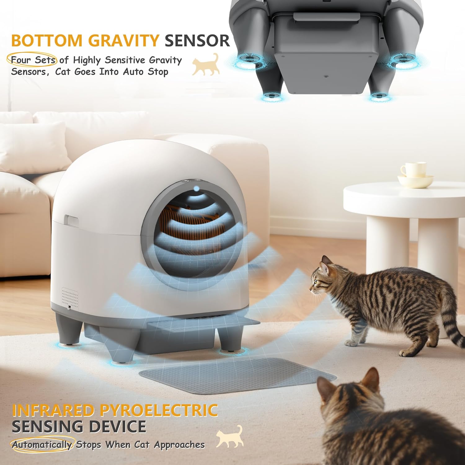 CatBox