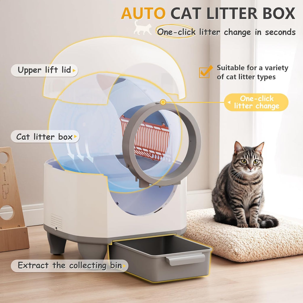 CatBox