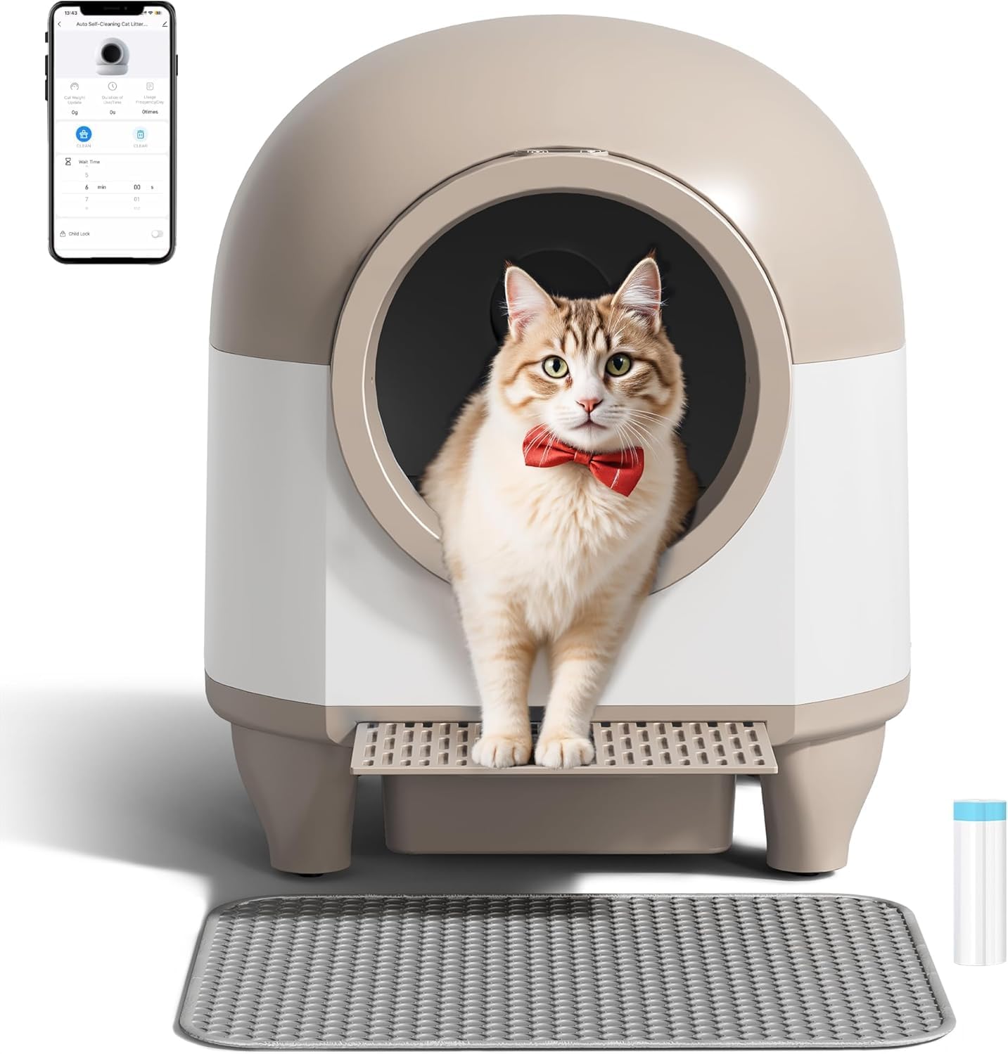 CatBox
