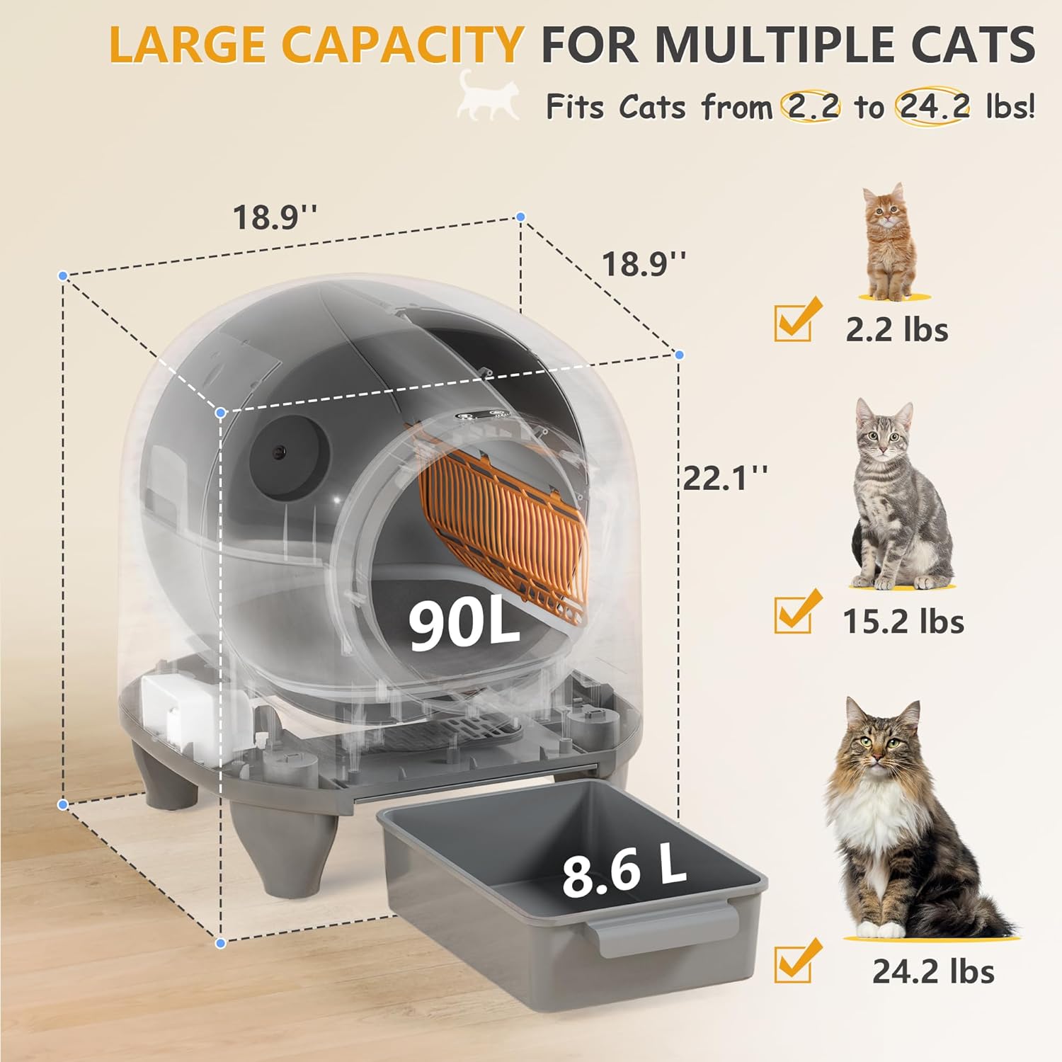 CatBox