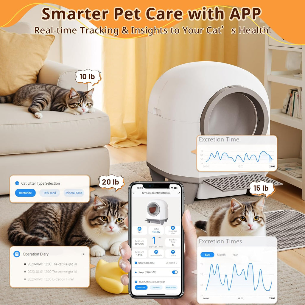 CatBox