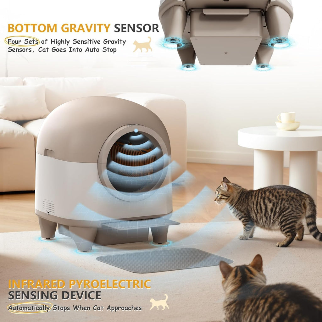 CatBox