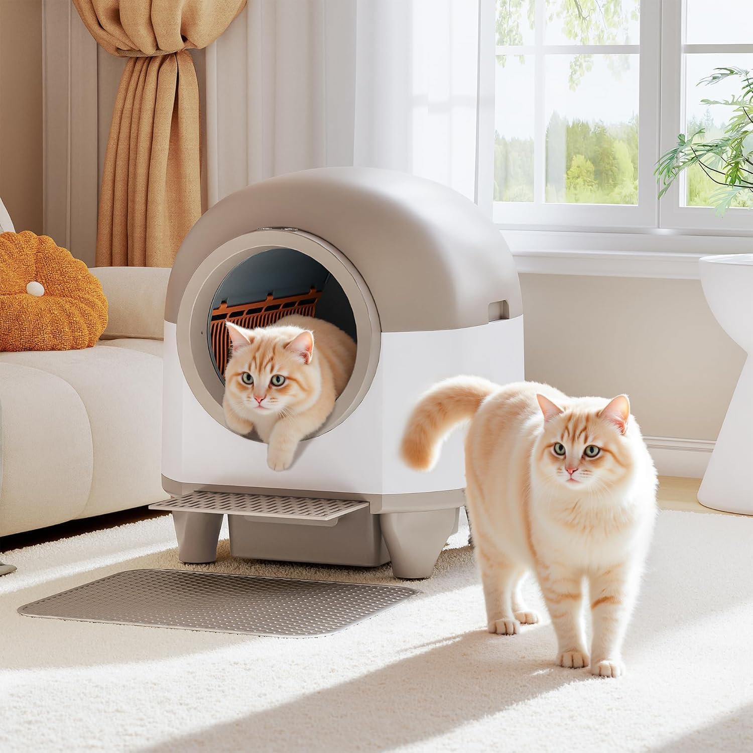 CatBox