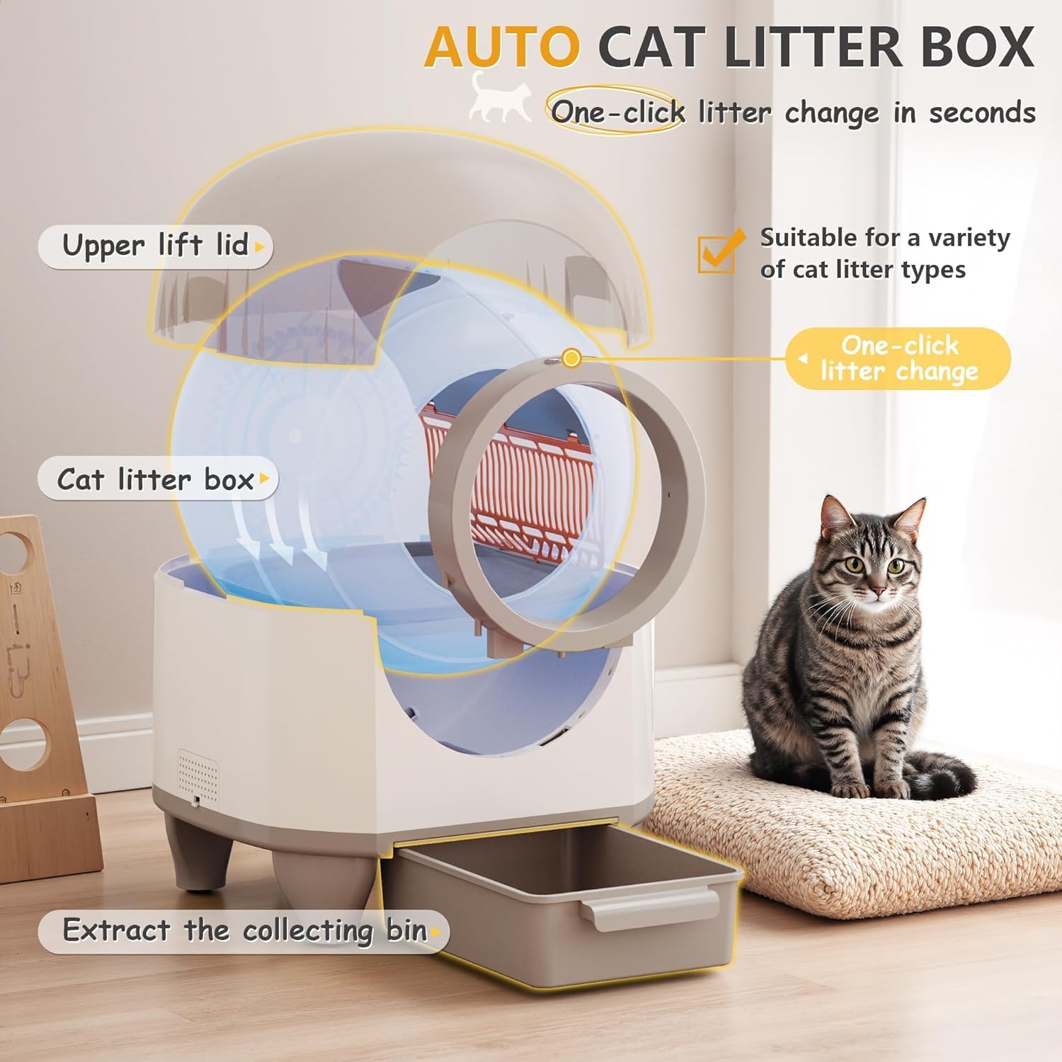 CatBox