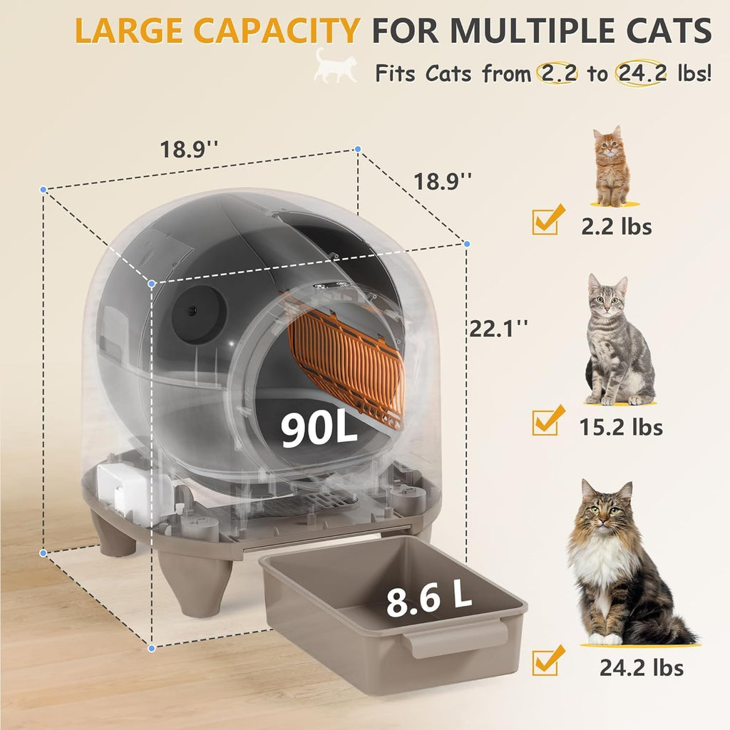 CatBox